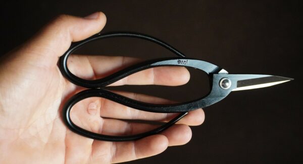 Root Scissors | 19 cm | Yama Tools - Afbeelding 2